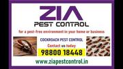 Zia Pest Control Services | Cockroach pest control Bengaluru | 5083456